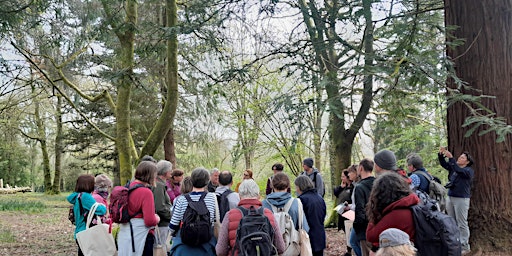 Hauptbild für Woodland Trust Ancient Tree Inventory Mapping