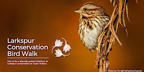 Bird Walk at Larkspur Conservation primary image