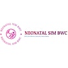 Simulation Team BWC's Logo