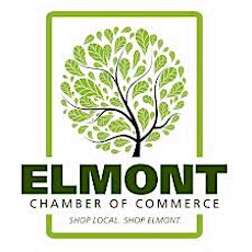 Elmont Chamber of Commerce - "NIGHT of NETWORKING" - Wed May 14th 2014 primary image