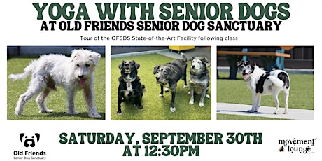 Image principale de Gentle Yoga with Senior Dogs at Old Friends Sanctuary
