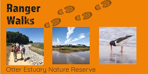 Primaire afbeelding van Otter Estuary Ranger Walk