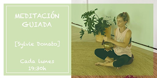 Encuentro de Meditación y Mindfulness  primärbild