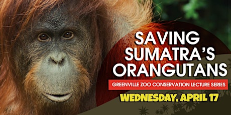 Saving Sumatra's Orangutans – Greenville Zoo Conservation Lecture Series primary image