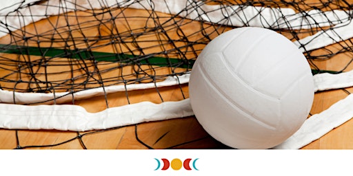 Primaire afbeelding van Volleyball