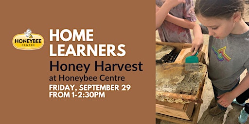 Image principale de Honey Harvest - Home Learners