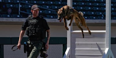Desert Dog Police K9 Trials 