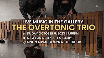 Imagen principal de The Overtonic Trio - Live Music in the Gallery