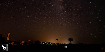NIGHT SKY EXPERIENCE in the FAKAHATCHEE PRESERVE primary image