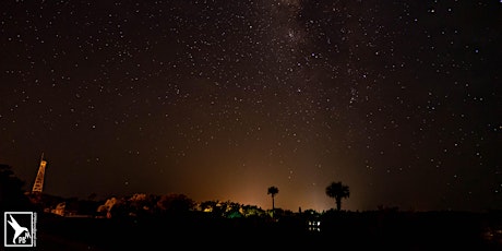 NIGHT SKY EXPERIENCE in the FAKAHATCHEE PRESERVE