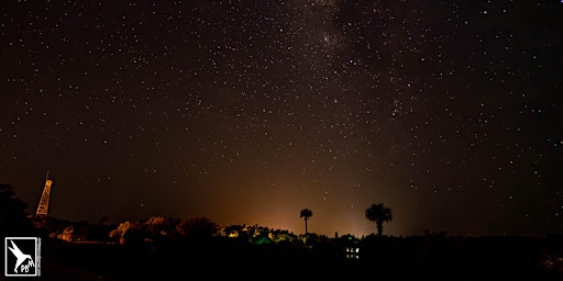 Primaire afbeelding van NIGHT SKY EXPERIENCE in the FAKAHATCHEE PRESERVE