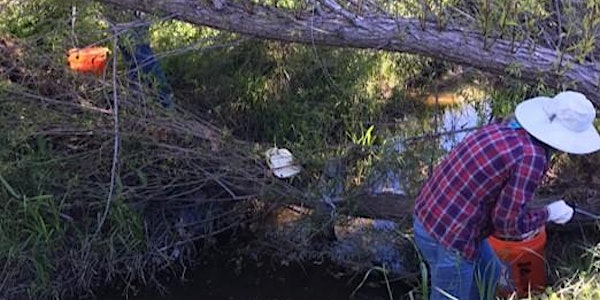 Adopt-A-Creek Volunteer Event with Dry Creek Conservancy and City of Rosevi...