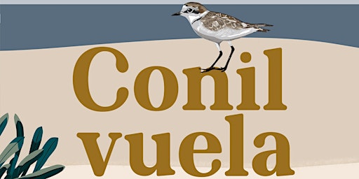 Imagen principal de Salida ornitológica Conil Vuela