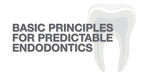 Primaire afbeelding van MANCHESTER - Basic Principles for Predictable Endodontics