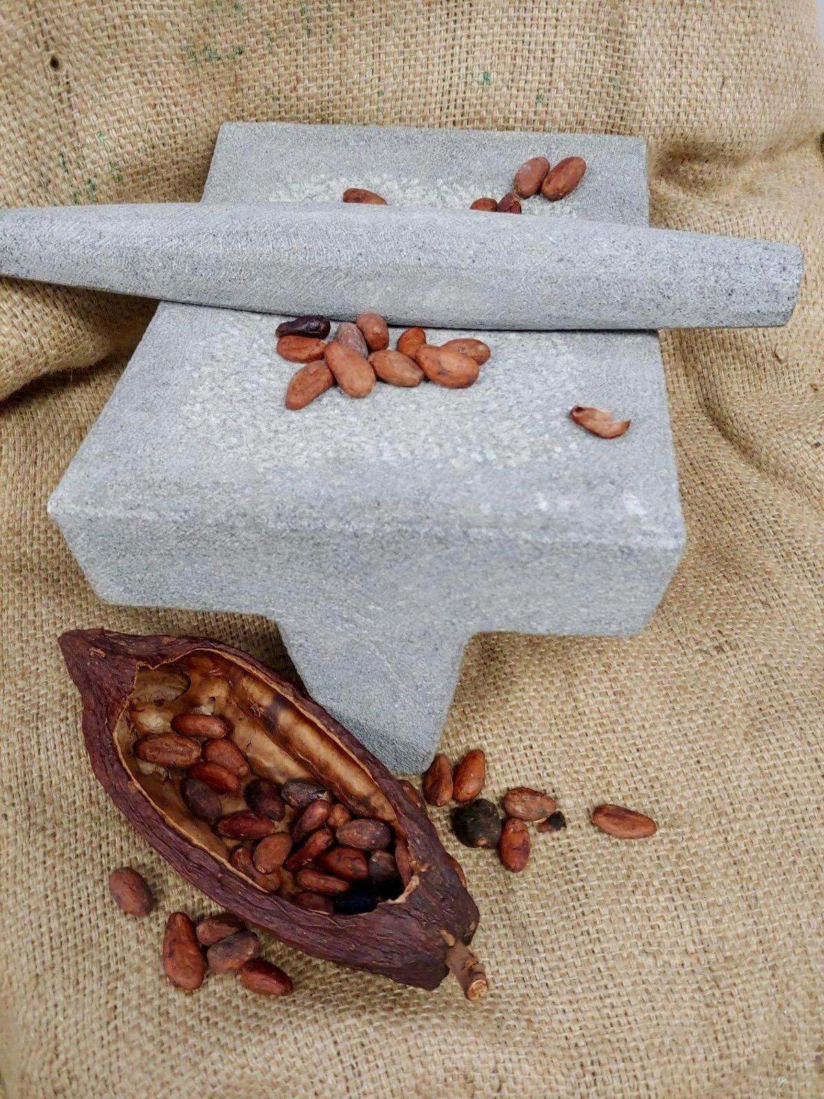 Transforming the Cacao Bean: A Hands-On Experience
