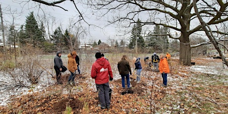 Tree Planting at Steckle Heritage Farm primary image