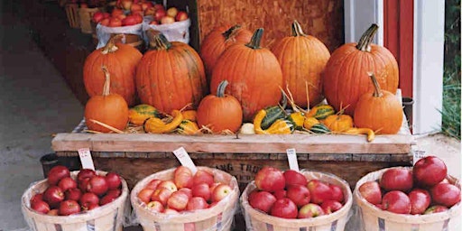 Image principale de Apple and Pumpkin Picking at Shady Brook Farm - Fall 2025