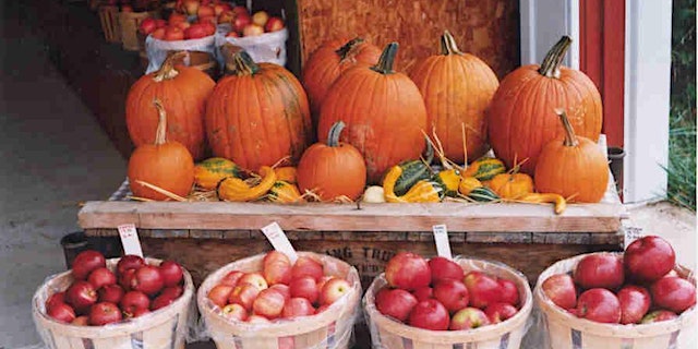 Image principale de Apple and Pumpkin Picking at Shady Brook Farm - Fall 2026