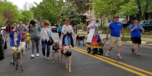 Dover Days Pet Parade 2019