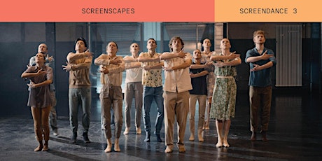 Screendance 3: Screenscapes | 2023 SFDFF primary image