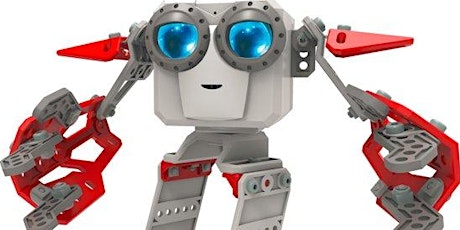 Primaire afbeelding van TechKicks! Meccano Micronoid Bouwen en Programmeren