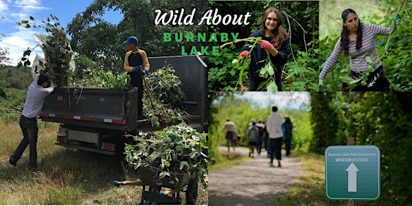 Wild About Burnaby Lake - Weedbusters Intake #1 -10:00
