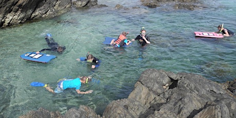 Blue Devil Snorkel Second Valley - 5th May - Community Guided Snorkel Day primary image