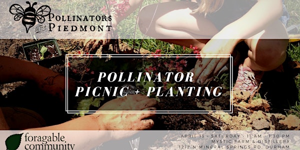 Pollinator Picnic + Planting