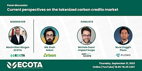 Primaire afbeelding van Current Perspectives on the Tokenized Carbon Credits Market