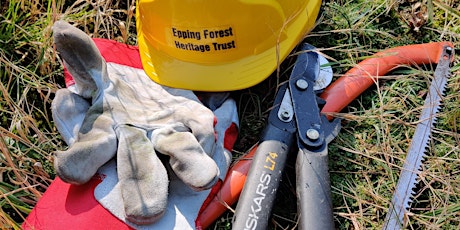 Hauptbild für Volunteer day: hands-on conservation in Epping Forest (Women* only)