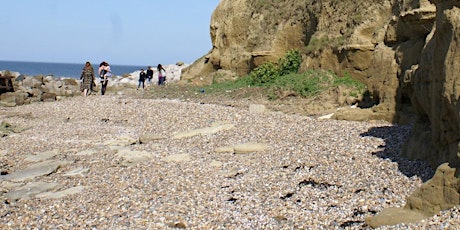 The Geology of Reculver Country Park