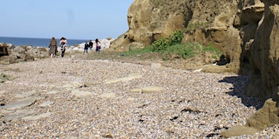 The Geology of Reculver Country Park primary image