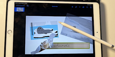 Hauptbild für iPad Expert Series Volksschule #6 Jede:r kann programmieren