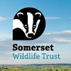 Somerset Wildlife Trust's Logo