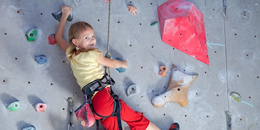 Immagine principale di Kids Indoor Climbing Birthday Party - Private Event  Up to 12 kids 