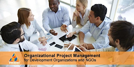 eCourse: Organizational Project Management (March 4, 2024) primary image