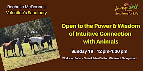 Open to the Power and Wisdom of Intuitive Connection with Animals primary image