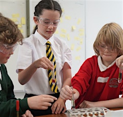 Nexus Primary Science Workshops