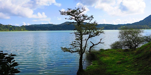 Hauptbild für 26.05.24 Singlereise Azorenkönigin São Miguel-Inseltraum für 40+