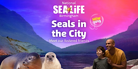 ANNUAL PASS EXCLUSIVE Sunday 14th April - Seals in the City primary image