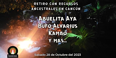 Imagen principal de Ceremonia en Cancún con Ayahuasca/Kambó/Bufo/Cacao