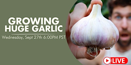How to grow HUGE Heads of Garlic! primary image