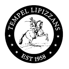 Organizer profile image