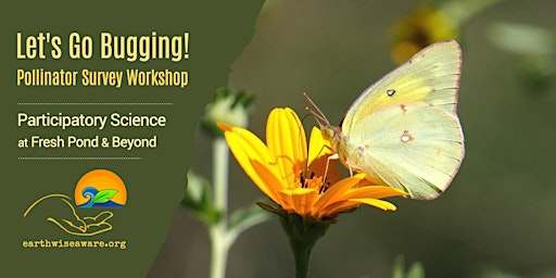 Imagem principal do evento Let's Go Bugging! Pollinator Survey Workshop