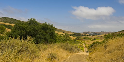 Guided Hike at Weir Canyon primary image