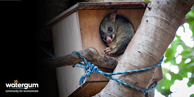 Nestbox Building primary image