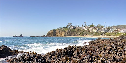 Primaire afbeelding van Marine Protected Area (MPA) Hike - Little Corona to Crystal Cove