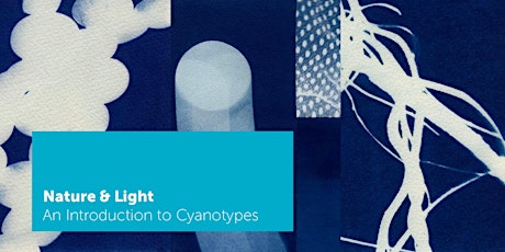 Nature & Light - An Introduction to Cyanotypes primary image