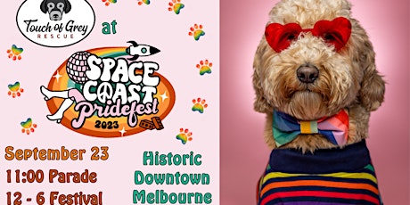 Imagen principal de Touch of Grey Rescue will be at Space Coast Pridefest 2023