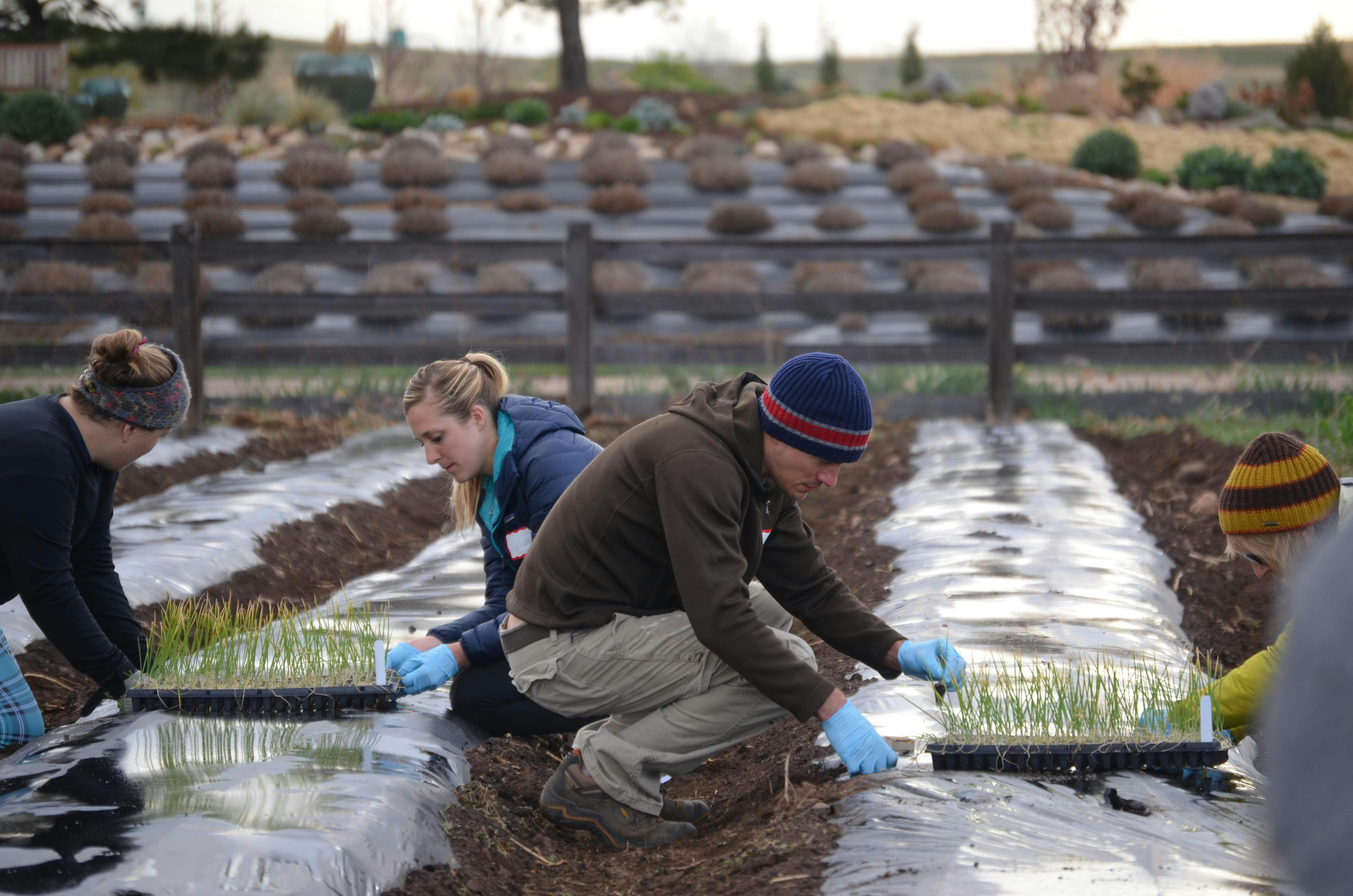 3rd Annual Dirty Hands & Hot Coffee: An Agricultural Planting Event